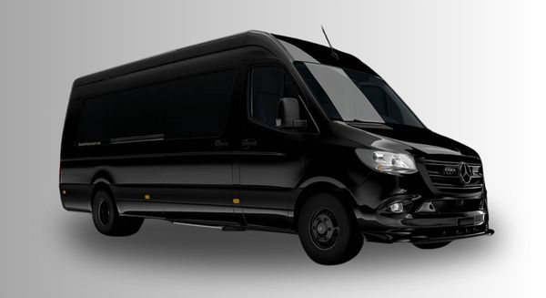 Mercedes Luxury Sprinter 9 seater