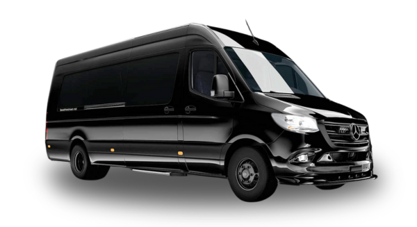 Custom-made Luxury Sprinter 9 seater Custom-made Luxury Sprinter 9 seater