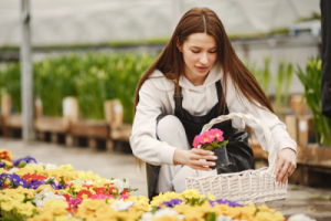 Chelsea Flower Chauffeur Service