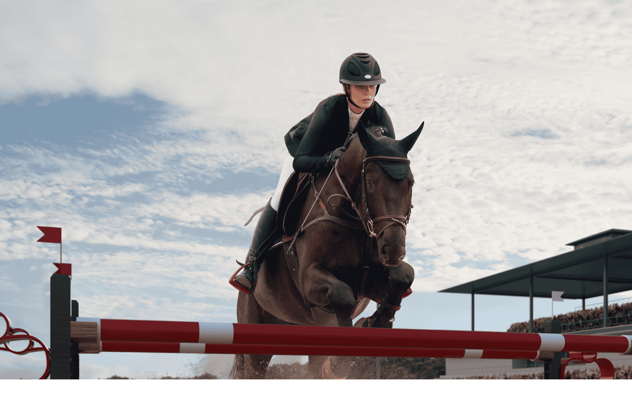 Royal Windsor Horse Show Chauffeur Service